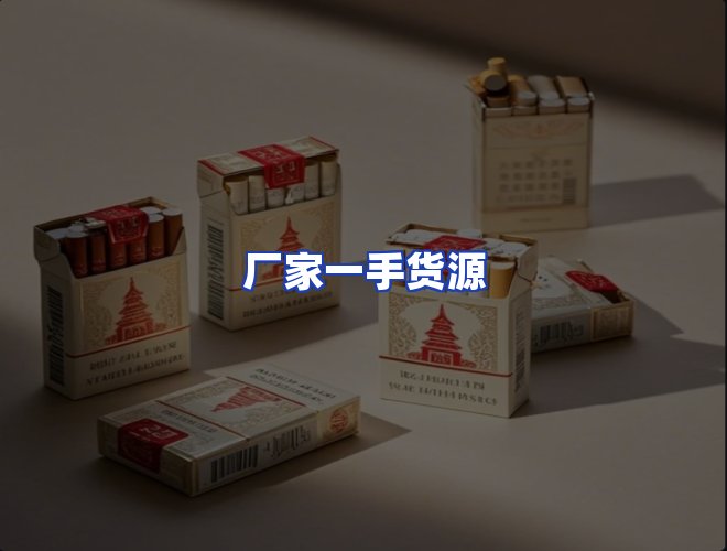 专业团队